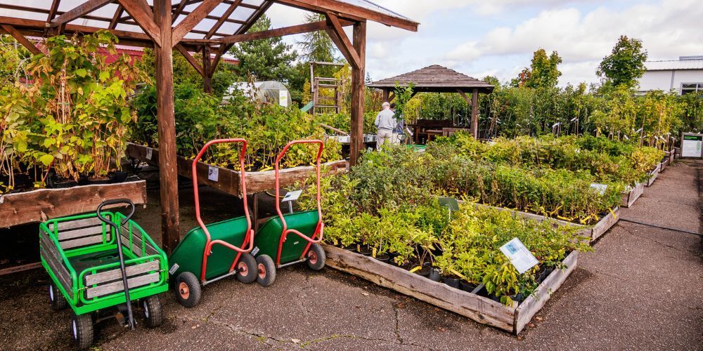 Taimede müük Rakveres 7.–10. mai