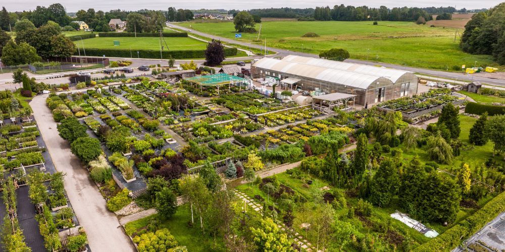 E-poe taimemüük on lõppenud, ettetellimine algab jaanuaris 